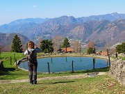 MONTE SUCHELLO (1541 m), fiorito in basso , innevato in alto, da Costa Serina il 19 marzo 2026  - FOTOGALLERY